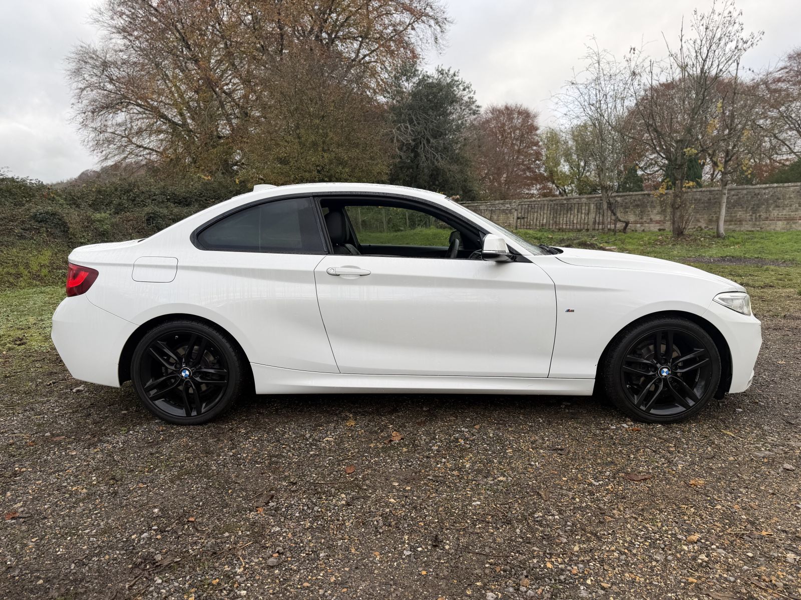 Image of BMW  2 Series 2.0 218d M Sport Auto Euro 6 (s/s) 2dr