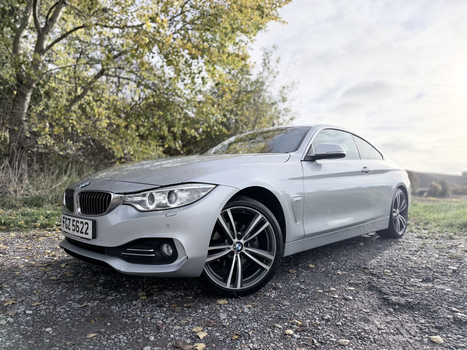 Image of BMW 4 Series 2.0 420d Luxury xDrive Euro 6 (s/s) 2dr
