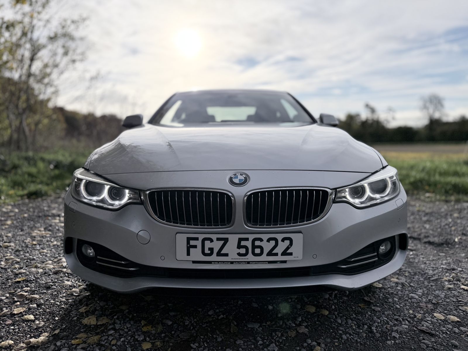 Image of BMW 4 Series 2.0 420d Luxury xDrive Euro 6 (s/s) 2dr