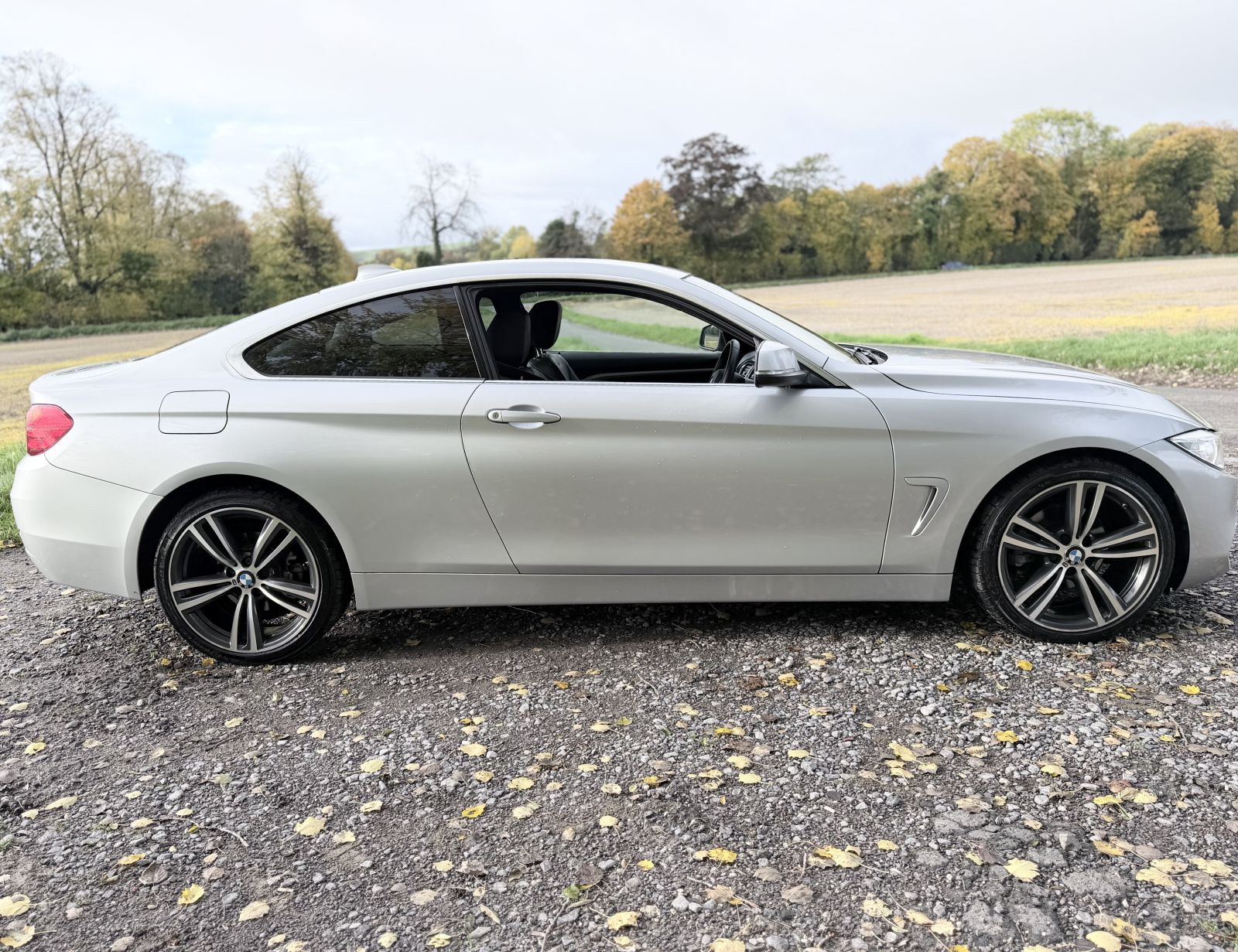 Image of BMW 4 Series 2.0 420d Luxury xDrive Euro 6 (s/s) 2dr