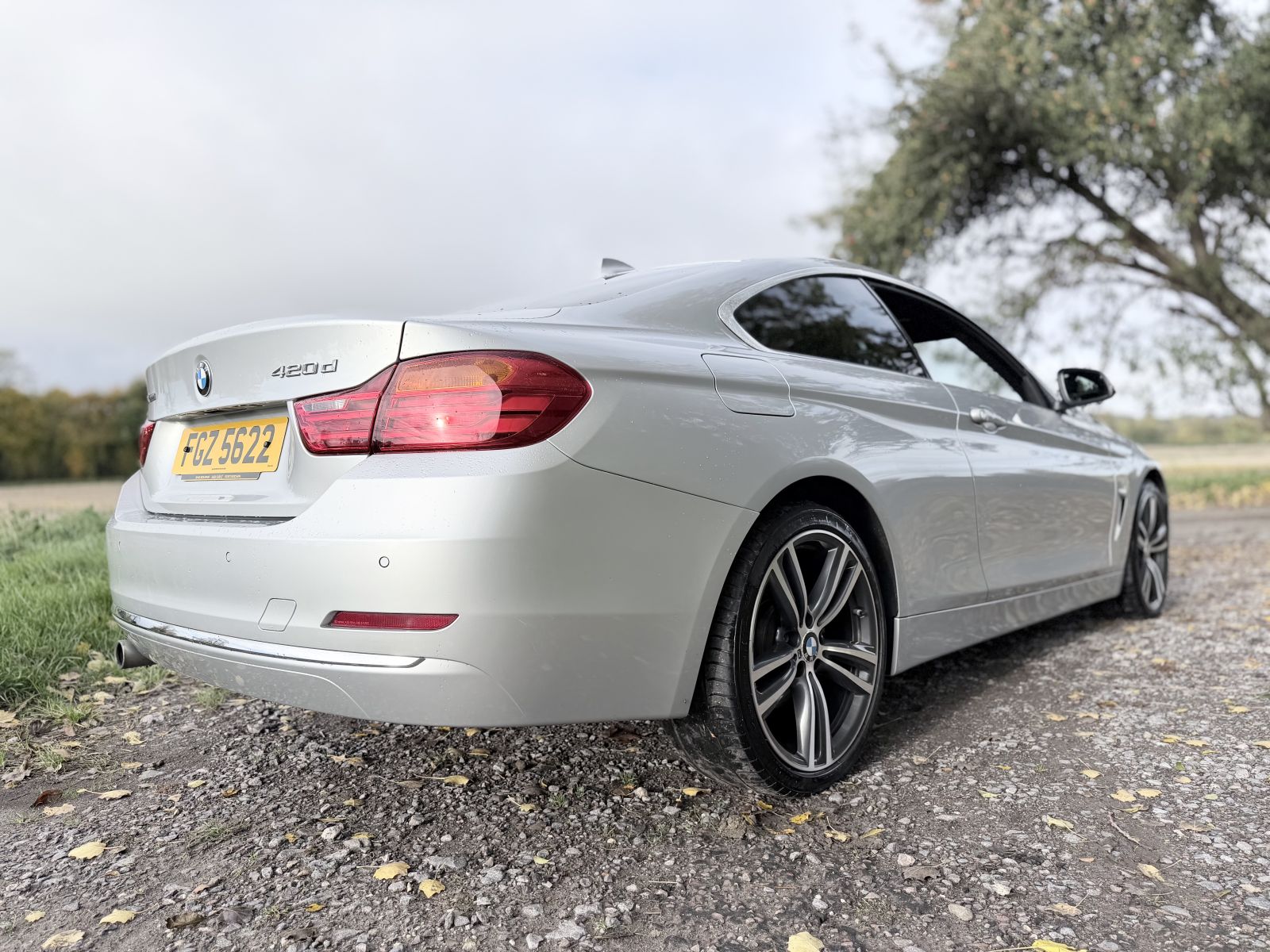 Image of BMW 4 Series 2.0 420d Luxury xDrive Euro 6 (s/s) 2dr
