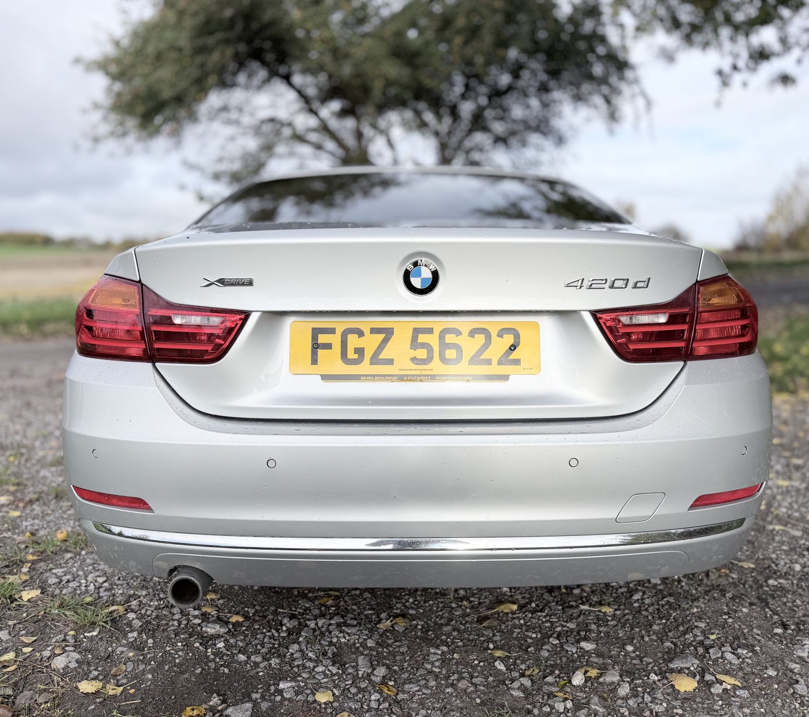 Image of BMW 4 Series 2.0 420d Luxury xDrive Euro 6 (s/s) 2dr