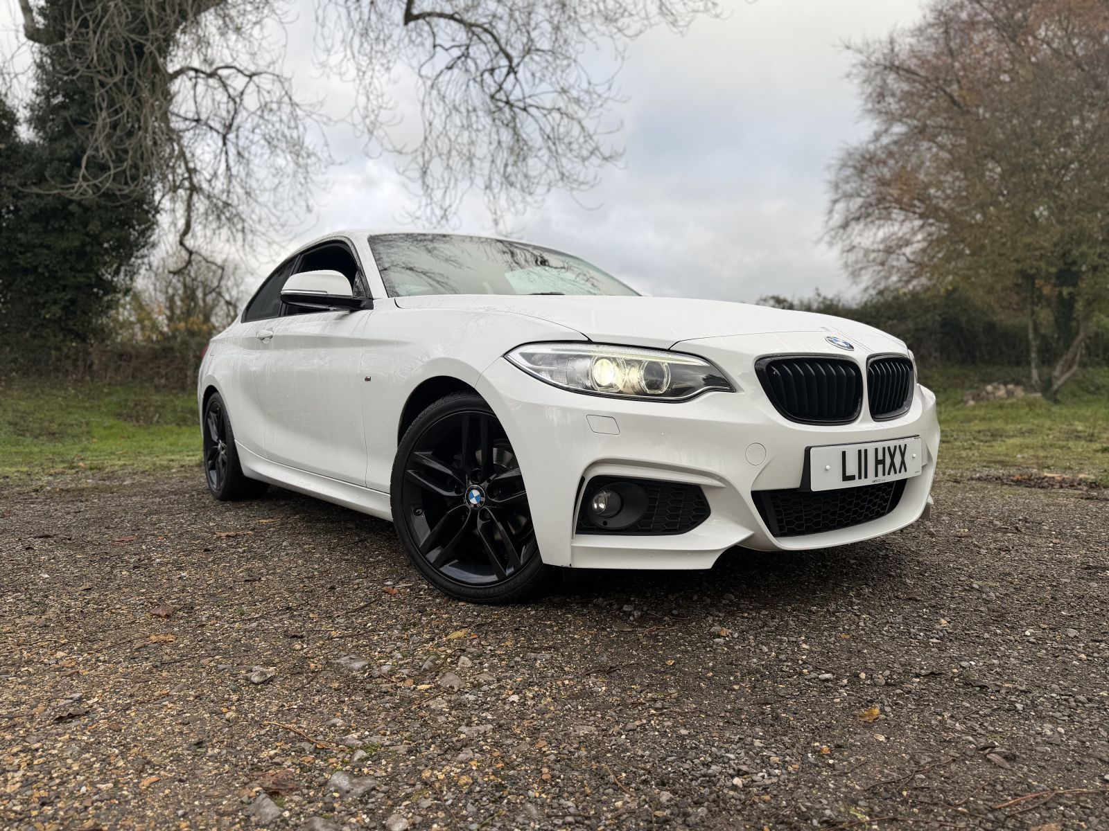 BMW  2 Series 2.0 218d M Sport Auto Euro 6 (s/s) 2dr