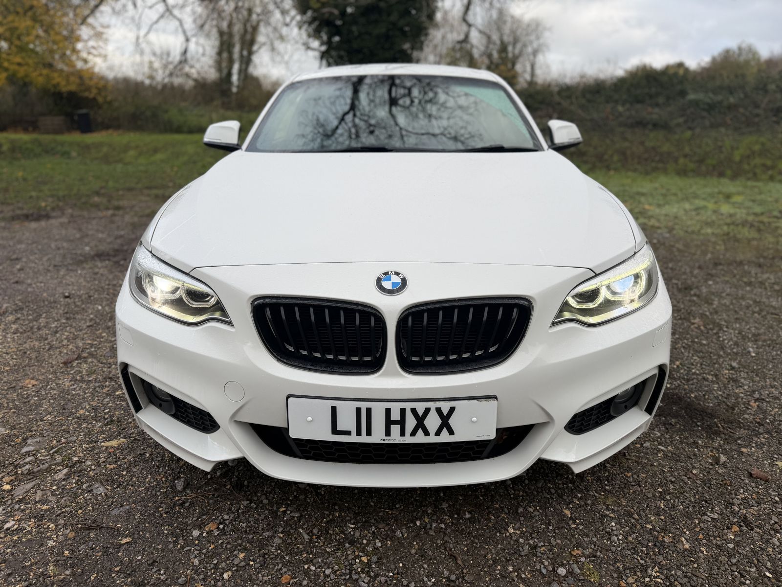 Image of BMW  2 Series 2.0 218d M Sport Auto Euro 6 (s/s) 2dr