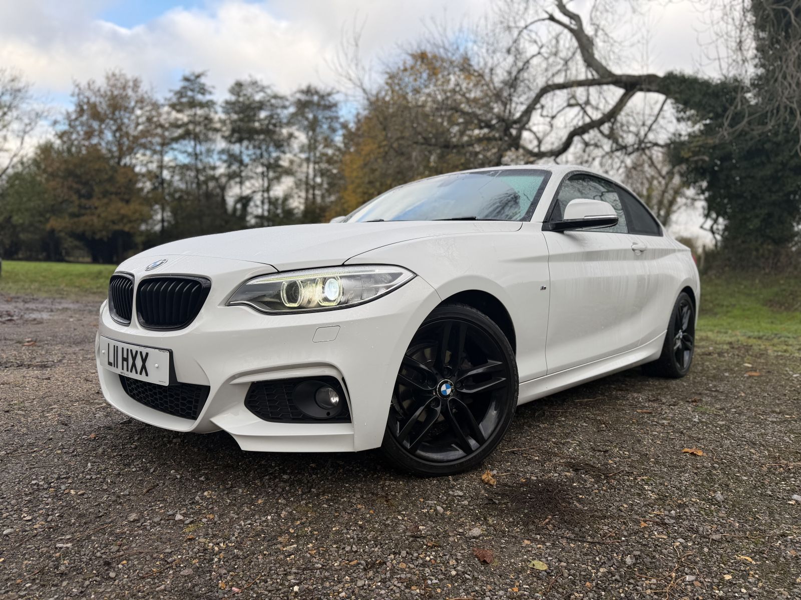 Image of BMW  2 Series 2.0 218d M Sport Auto Euro 6 (s/s) 2dr