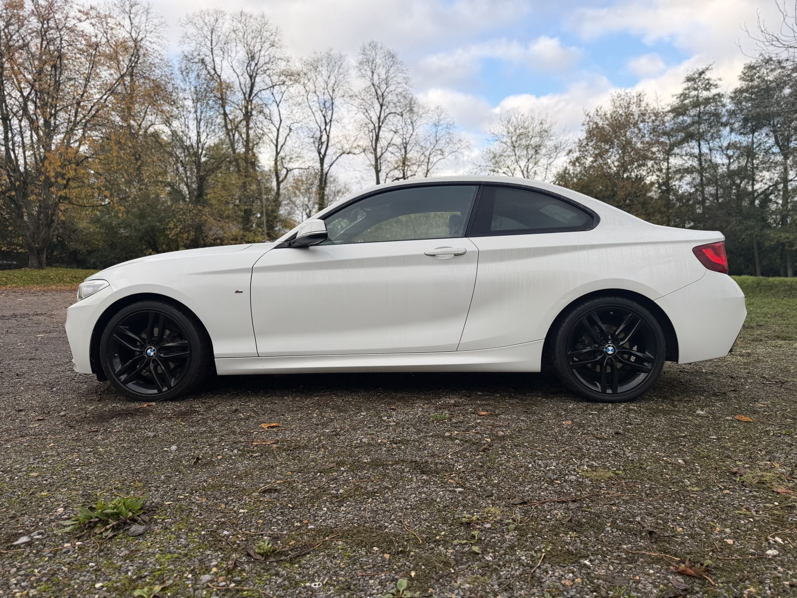Image of BMW  2 Series 2.0 218d M Sport Auto Euro 6 (s/s) 2dr